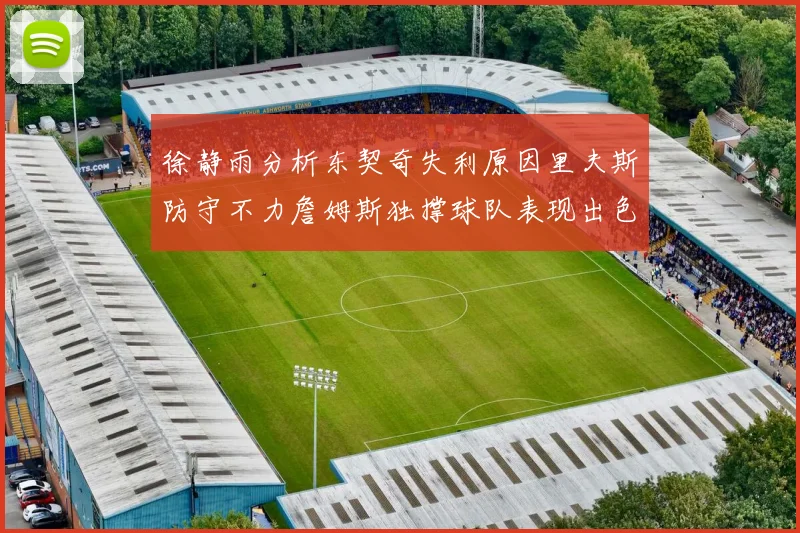 徐静雨分析东契奇失利原因里夫斯防守不力詹姆斯独撑球队表现出色