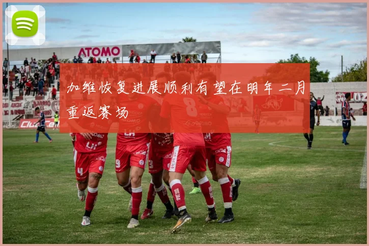 加维恢复进展顺利有望在明年二月重返赛场