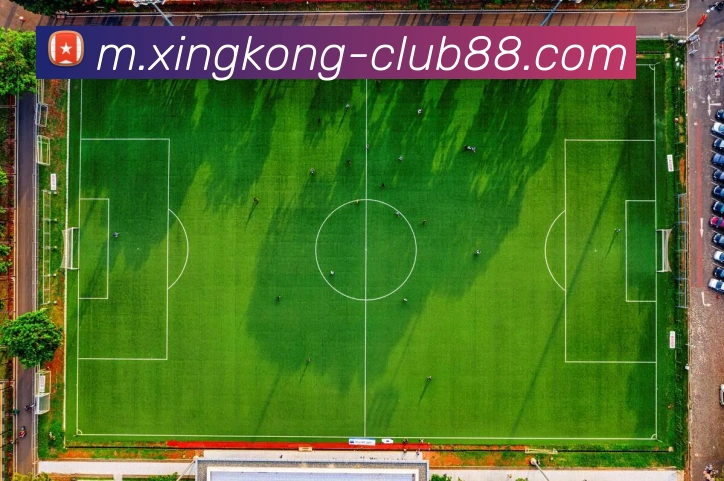 星空娱乐品牌故事